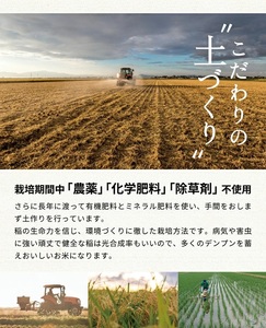 SB0872　令和7年産【精米】つや姫マイスターが作った　農薬・化学肥料・除草剤不使用『つや姫』5kg MA