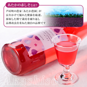 芦屋町産あたかの赤しそ使用！芦屋赤しそ純米梅酒 (720ml×1本) 芦屋町特産 赤しそ 紫蘇 シソ お酒 梅酒 日本酒 純米酒 繁桝 アルコール リキュール【地酒とギフトの店 てのや】as01-001