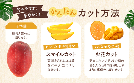 【先行予約/数量限定】完熟マンゴー ２L×２玉（パック）/ 宮崎県産 マンゴー【JA綾町】_A0114-1021