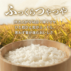 令和7年産 阿武町 「 うもれ木の郷 」 こしひかり 2kg×3袋 【 エコやまぐち認証 】 