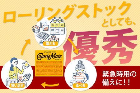 【大塚製薬】カロリーメイト ブロック 4本入り チーズ味30箱＋メープル味30箱［徳島 那賀 カロリーメイト チーズ メープル ビタミン ミネラル たんぱく質 脂質 糖質 5大栄養素 バランス栄養食 栄養補給 仕事 勉強 スポーツ 防災 災害 地震 非常食 常備食 備蓄 受験 受験応援 新生活 大塚製薬］【MS-4-4】