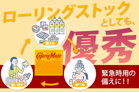 【大塚製薬】カロリーメイト ブロック 4本入り チョコレート味30箱＋フルーツ味30箱［徳島 那賀 カロリーメイト チョコ フルーツ ビタミン ミネラル たんぱく質 脂質 糖質 5大栄養素 バランス栄養食 栄養補給 仕事 勉強 スポーツ 防災 災害 地震 非常食 常備食 備蓄 受験 受験応援 新生活 大塚製薬］【MS-4-5】