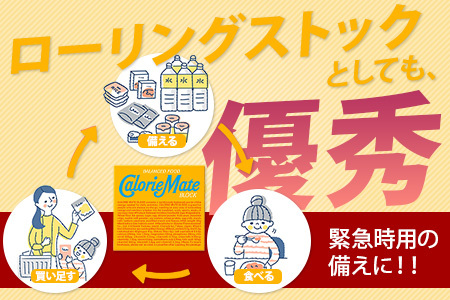 大塚製薬】カロリーメイトブロック 4本入り60箱 ≪バニラ味≫［徳島