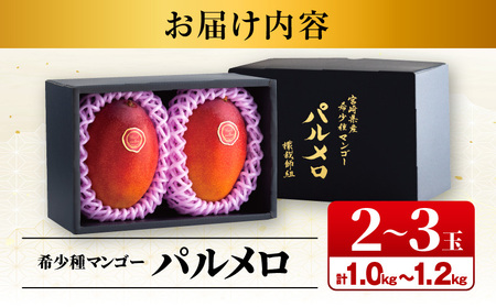 《2026年発送》【期間・数量限定】宮崎県産 希少種マンゴー パルメロ 計 約1.0kg～1.2kg 2～3玉入り 完熟マンゴー パルメロ 果物