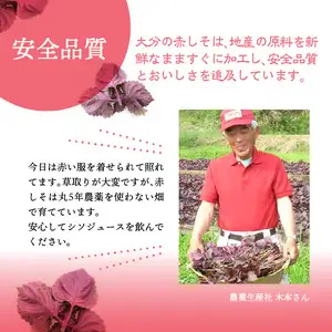 赤しそジュース　無糖タイプ　900ｍｌ×3本 F10038