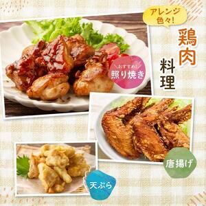 産地直送！恵那どり お試し6種 12パックセット 冷凍 F4N-2403
