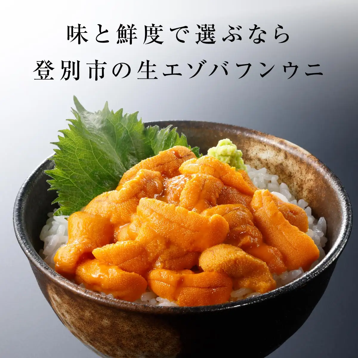 訳あり 規格外品 無添加 エゾバフンウニ 塩水パック 300g  【mh-0469_B】