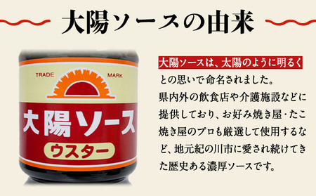 昔懐かし大陽ソース各500ml×3本セット 深瀬昌洋商店 《90日以内に出荷予定(土日祝除く)》 和歌山県 紀の川市