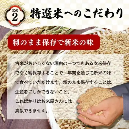 コシヒカリ【定期便3ヶ月】特選米コシヒカリ 5kg MK17