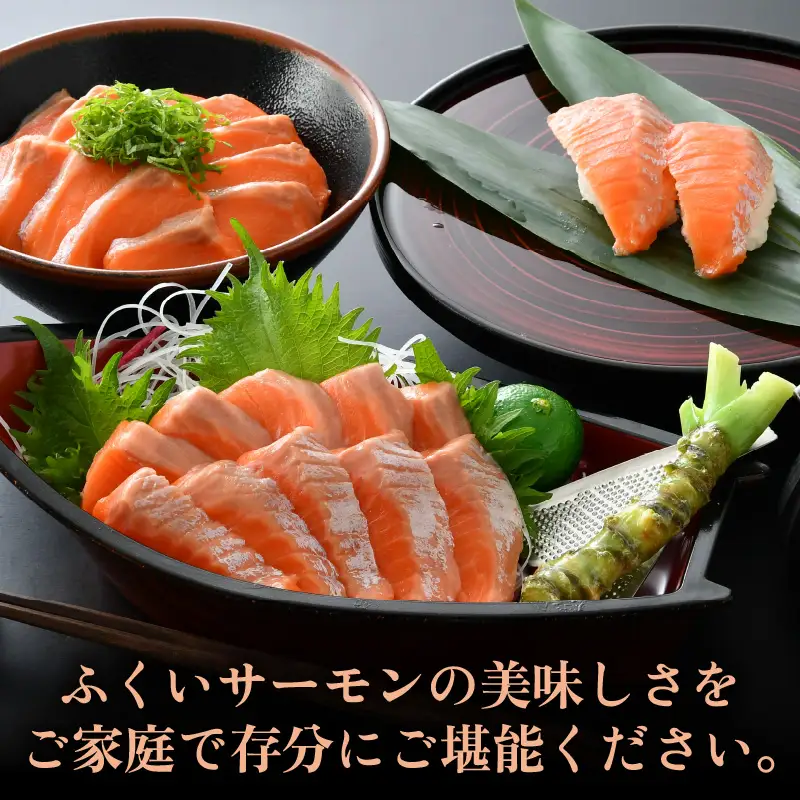 《定期便12回》ふくいサーモン 柵どり 150g×4パック 計600g ＜度抜群！＞ ／サーモン 鮭 [aw002-o001]