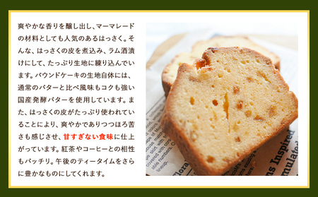 ほろにがスイーツ・はっさくパウンドケーキ  1本 【アミティ有限会社 観光特産センターこかわ】《90日以内に出荷予定(土日祝除く)》 和歌山県 紀の川市