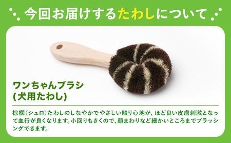 たわし職人がつくった犬用たわしギフト 株式会社北山正積商店《90日以内に出荷予定(土日祝除く)》和歌山県 紀の川市