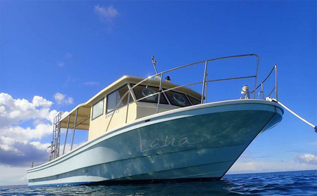 ダイビング 久米島ファンダイビング利用券1名様 1日3ダイブ×3日間 マリン アクティビティ