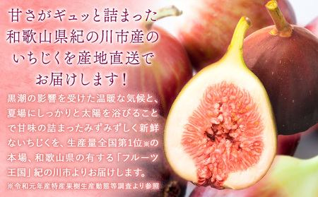 新鮮いちじく約300g×4パック入