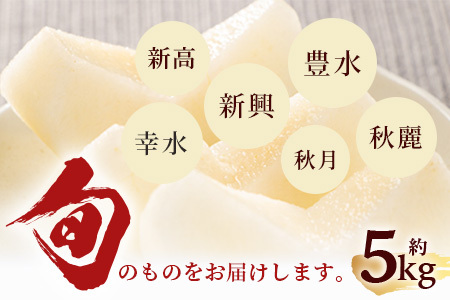 【2026年8月中旬～発送】豊永の 梨 約5kg 熊本 070-0592