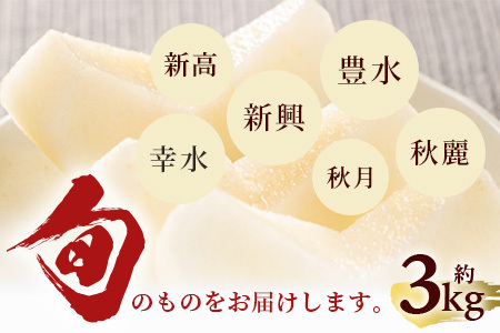 【2026年8月中旬～発送】豊永の 梨 約3kg 熊本県 070-0593