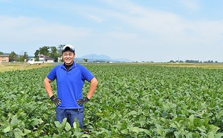 75E-15新潟県長岡産枝豆2.0kg【長岡茶豆250g×8袋入り】