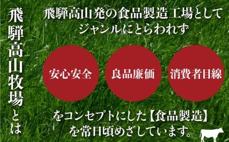 飛騨牛入りハンバーグが入ったレトルトカレー 6食 飛騨高山牧場 HG006 | 高山市 レトルトカレー