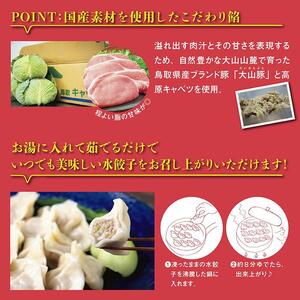 台湾水餃子 豚水餃子 30個入り