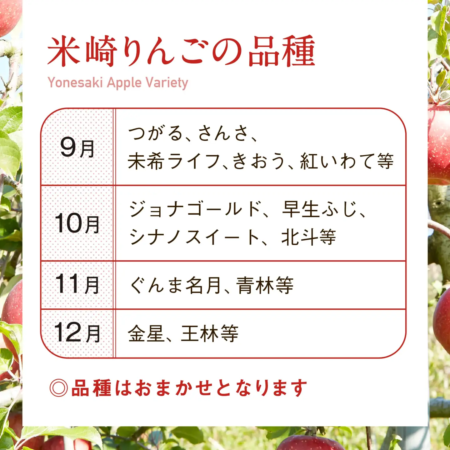 【品種おまかせ！】 米崎りんご 3kg 果物 9月頃から発送予定 りんご