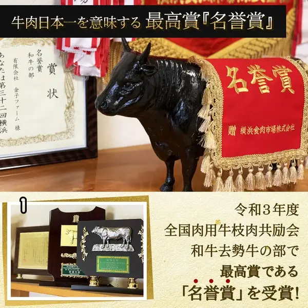 NAMIKI和牛ステーキ（250g×3枚）【国産 牛肉 ステーキ 冷凍 送料無料 青森県 七戸町 和牛 金子ファーム お祝い 贈り物 誕生日 ギフト お肉 NAMIKI ご飯のお供】【02402-0212】