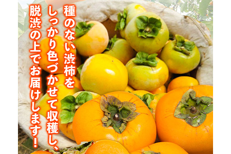 【訳あり】まーくん家のたねなし柿 約10kg かき 種なし きただ農園まーくん家 《2026年9月下旬-10月末頃出荷》 和歌山県 紀の川市 