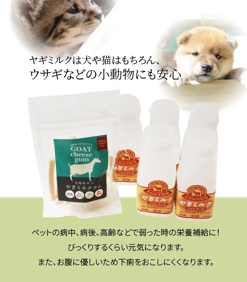 ワンちゃん、ネコちゃんの大好きなヤギミルク5本と、やぎミルクチーズ（ガムタイプ） R14081