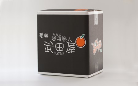 はるか ジュース 720ml 6本 無添加 果汁 100% 柑橘 果物 国産 フルーツ 有名 愛媛 みかん 職人 武田屋 蜜柑 ブランド オレンジ 愛媛県産 果実 ビタミン 美味しい 生産者 直送 産直