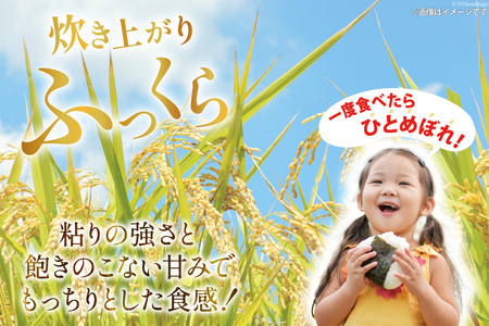 米 南三陸米 ひとめぼれ 1kg×5袋 計5kg [新みやぎ農業協同組合 宮城県 南三陸町 m304amh540006]