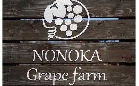 【2026年先行予約】 訳ありシャインマスカット 約1.2kg (バラ房)  株式会社野の香 | 訳ありシャインマスカット