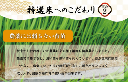 コシヒカリ 10kg×３回 【定期便全3回】 特選米コシヒカリ MK18