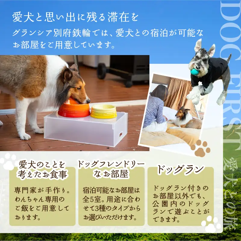グランシア別府鉄輪　ふるさと納税宿泊補助券（30,000円分）_B050-001