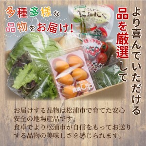 野菜【旬のお野菜大満足セット】道の駅松浦海のふるさと館【A8-040】