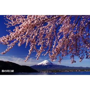 【富士河口湖町】JTBふるさと旅行券（450,000円分）有効期間5年 | 予約 宿泊 観光 体験 温泉 ホテル 旅館 チケット 子供 子連れ カップル 家族 店頭 電話 河口湖