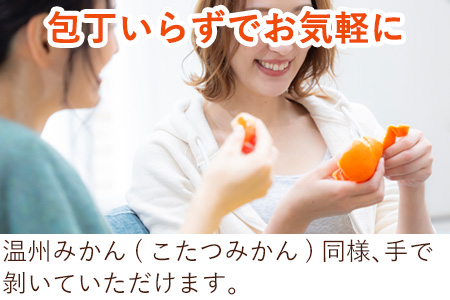 『先行予約』【令和9年1月下旬発送】浜王(はまおう) ハウス栽培 唐津産 3kg 口之津(くちのつ) 39号みかん フルーツ 果物 柑橘 かんきつ