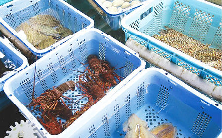 まるは食堂 南知多豊浜本店 伊勢海老活造り付コースペアお食事券 まるは