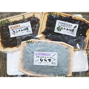 岬だより 愛知県産 しらす・佃煮セット [配送不可地域：離島]