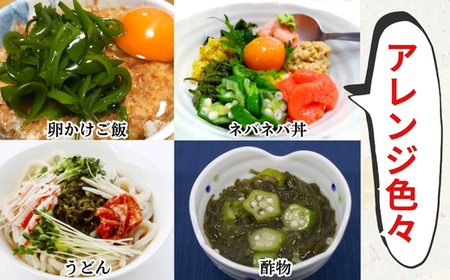 愛知県産 めかぶ刻み 600g (200g×3袋) めかぶ