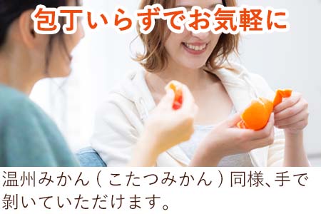 『先行予約』【令和9年2月中旬発送】マーコット(ハウス栽培) 唐津産 3kg みかん ミカン 果物 フルーツ