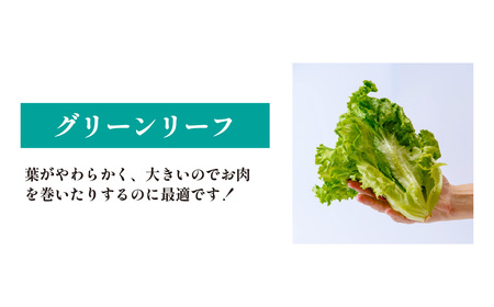 3種のレタス 各500g×2パック 1kg | レタス