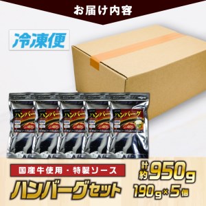 ハンバーグセット(計約950g・190g×5個) 牛肉  冷凍 個包装 国産 【TG-1】【サンクスギビング】