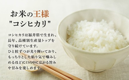 R7年産 米 コシヒカリ 10kg 産地直送 一等米 特A 特A米 お米 白米 精米 新米 ご飯 10キロ おこめ こめ コメ ごはん こしひかり 福井県 福井 若狭町 若狭 送料無料