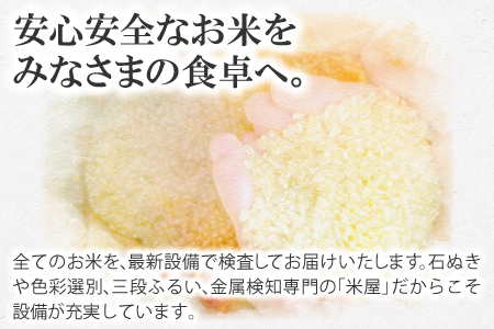 美郷町産きぬむすめ 10kg【お米 10kg 5kg×2袋 精米 白米 ブランド米 米 きぬむすめ お米】