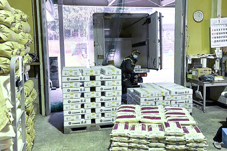 【定期便3ヶ月】美郷町産 きぬむすめ 10kg【定期便 3回定期 米 お米 精米 白米 ブランド米 きぬむすめ 5kg×2袋 10kg×3回 合計30kg 】