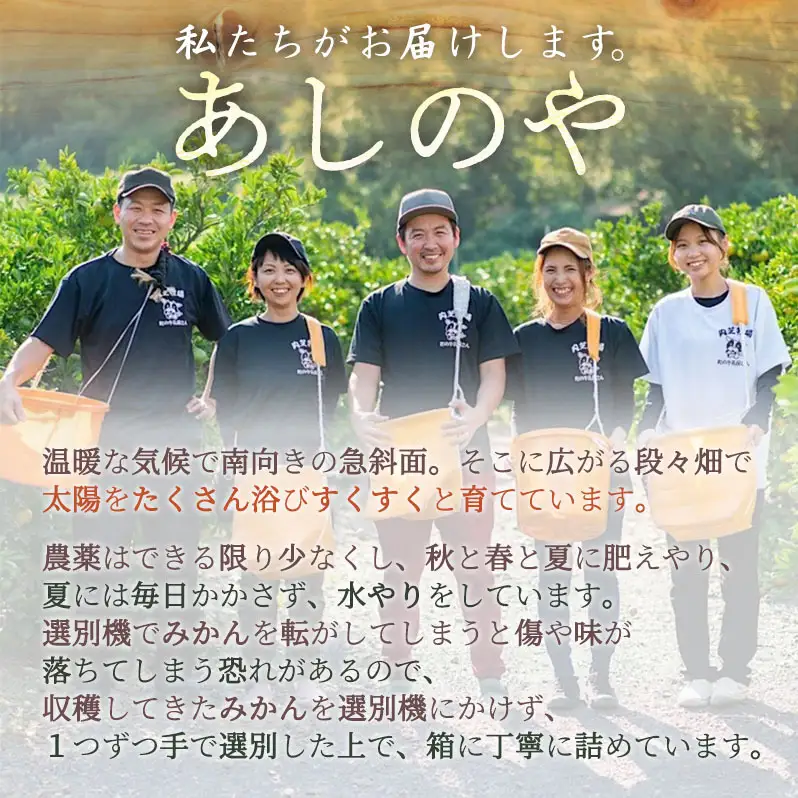 【2027年先行予約】和歌山県産 有田の はるみ 8～11玉 (L～3Lサイズ混合)_ZE6206n