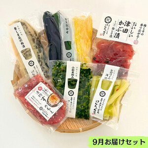 【3か月定期便】出雲漬物 季節の詰合せセット（7～9月）