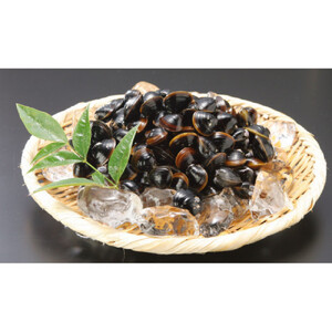 定期便 3回 神西湖産 大和 しじみ 1.25kg (250g×5パック））| しじみ