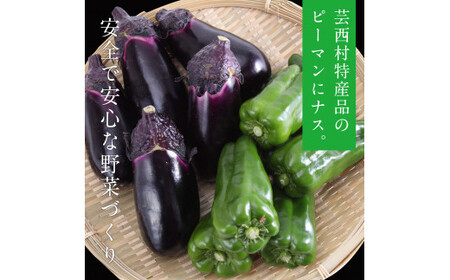 朝どれ！野菜の詰合せ／芸西村で採れた新鮮な野菜6～8種類をお届けします。