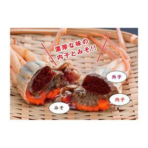 鳥取県産 活親がに 大(訳あり)【中村商店】
