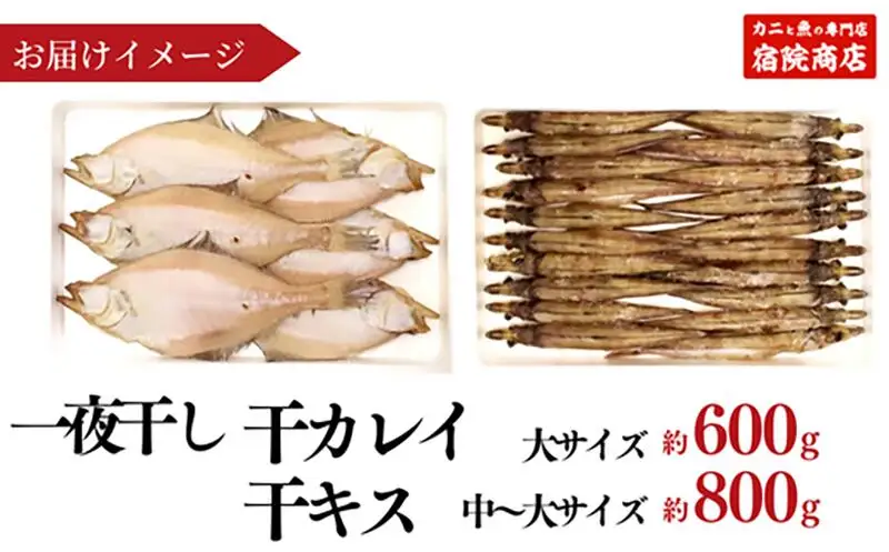 一夜干し 干カレイと干キスセット 山陰沖で水揚げ 海鮮 33-12